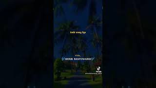 Download lagu story wa musik banyuwangi mp3 Download lagu story wa musik banyuwangi mp3