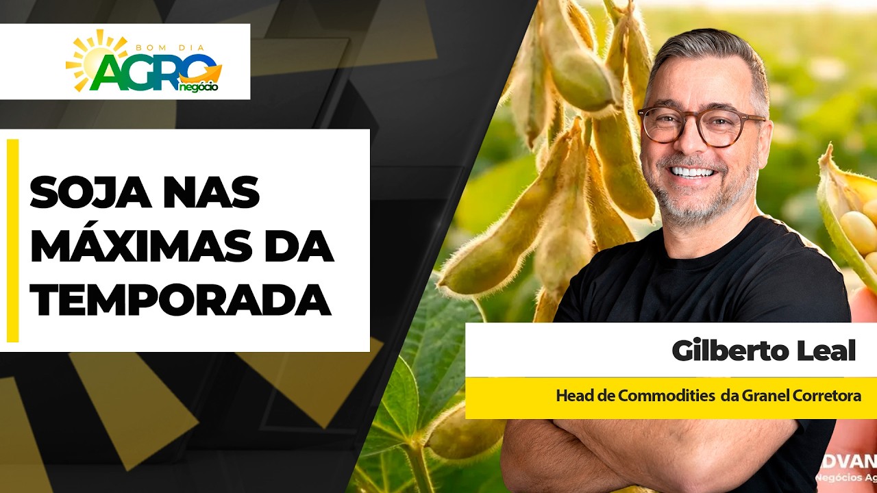 Preços da soja estão nas máximas da temporada no interior e nos portos; safra nova dá boas...