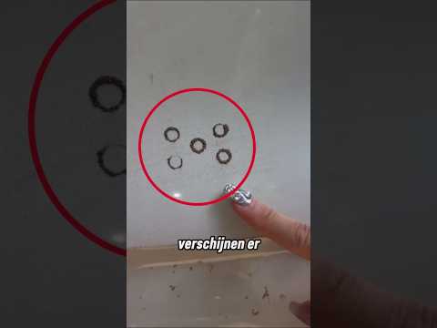 Als je dit teken op een auto ziet, bel dan meteen de politie 😳