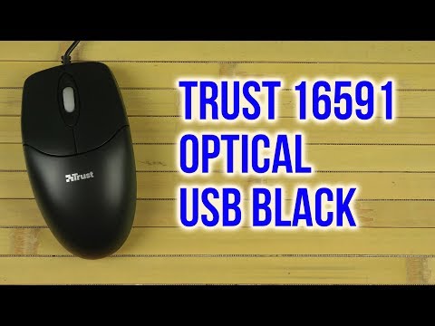 Trust Basi Black USB