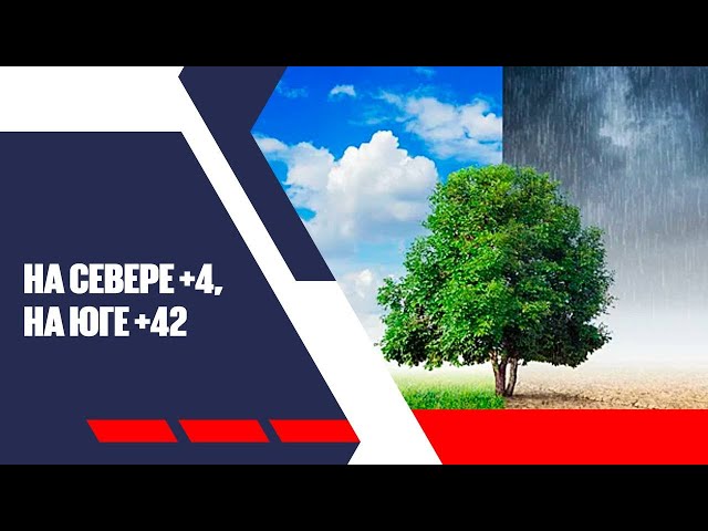 Главные новости 04.08.2025 г.