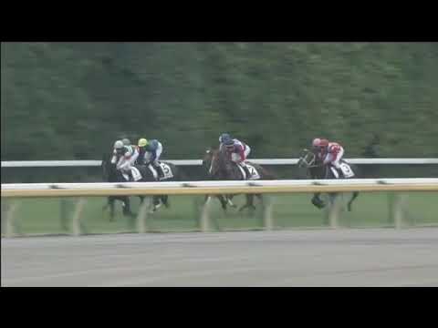 2019.06.02 2yo Newcomer (JPN) - Salios