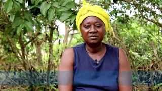Testimony of Matu Kamara, Ebola Survivor from Sierra Leone video