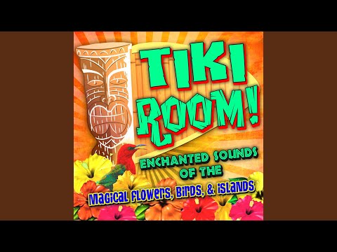 A Melody from the Sky