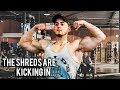 I'm Giving It My All.. Shreds Kicking In | Devoted Ep. 5