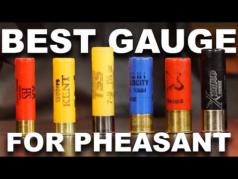 Best Shotshells for Pheasants - 10 vs 12 vs 16 vs 20 vs 28 Gauge