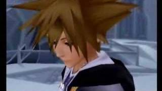 The Garden Of Everything: KH and KH2 AMV