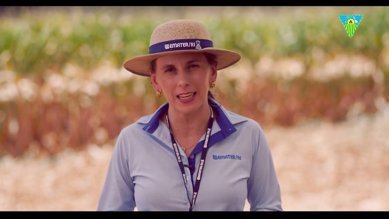 Abertura Oficial da Colheita do Milho do RS 2025 | Granja Busnello - Paulo Bento