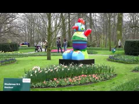 Keukenhof Holland 2016  4K Video