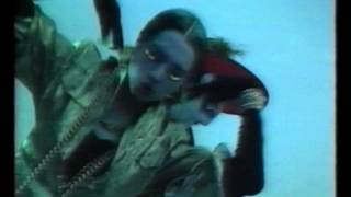 Raul Orellana - The real wild house