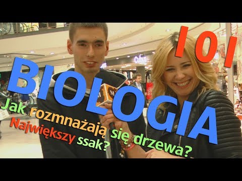 Matura to bzdura 