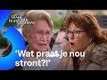 BEJAARDE buurvrouw wordt COMPLEET UITGEROOKT! | Mr. Frank Visser doet uitspraak