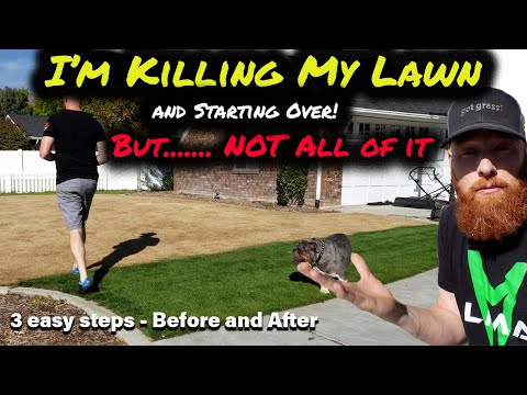 DIY How to kill your lawn and start over.  3 easy steps.