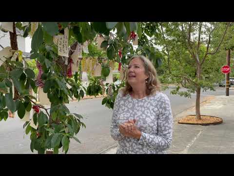 A tree where wishes (may) come true