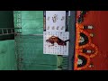 Vara Vara Poochandi
