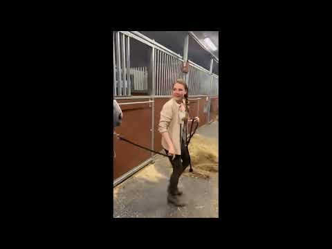 Duca di Como på reise