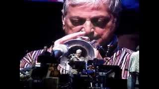 Duško Gojković - EXIT festival