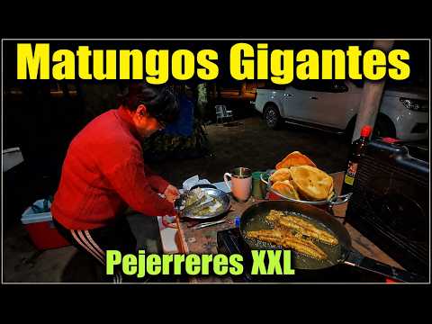 ¡EXPLOSIVA PESCA EN SAN GREGORIO DE POLANCO Y PUENTE 329