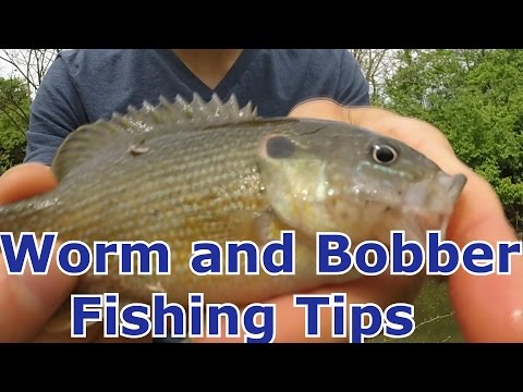 Fishing with Bobber and Worms Tips- Bluegill and Panfish- How to