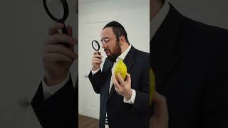 קוק אויף דיין אייגענע אתרוג
