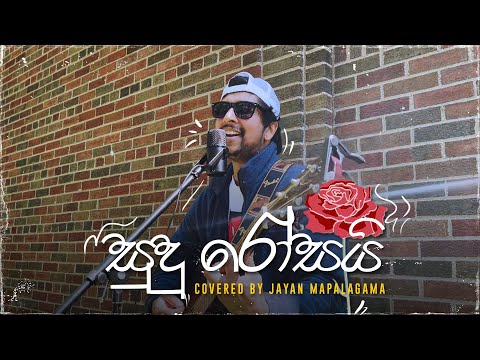 Sudu Rosai | සුදු රෝසයි | Jayantha Dissanayake | Reggae cover | Jayan Mapalagama