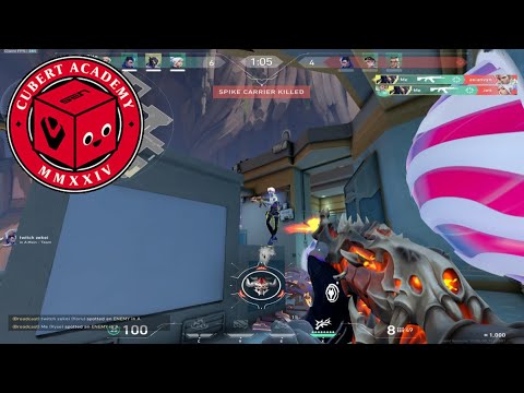 SENTINELS academy member