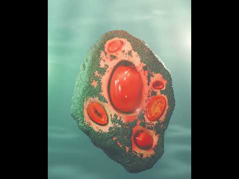 Piure Love #piure #mariscos #chile #3d #blender #aftereffects