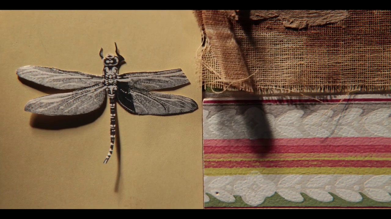 Black River Falls featuring Suzzy Roche