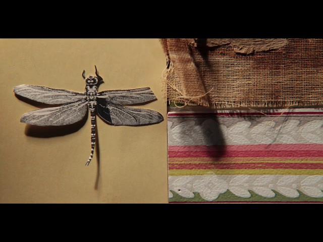 Black River Falls featuring Suzzy Roche