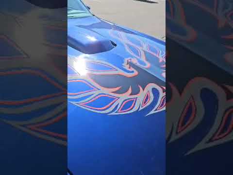 1978 Pontiac Firebird Trans Am (CC-1845693) for sale in Copley, Ohio