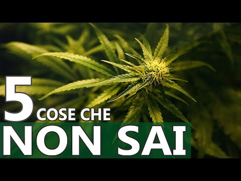 Ozono terapia per articolazioni delle gambe Giunto il loro ruolo funzionale