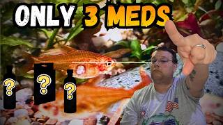3 Medications Every Fish Keeper Needs Before It's Too Late