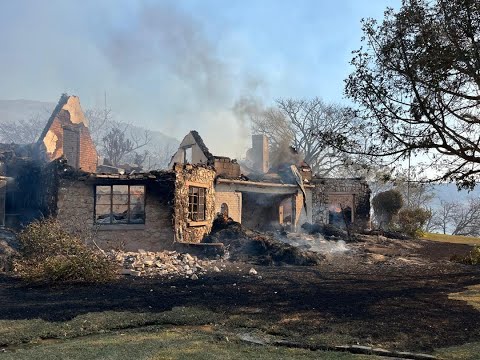 Help Wide Horizons rise from the ashes