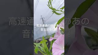 高速通過よき！