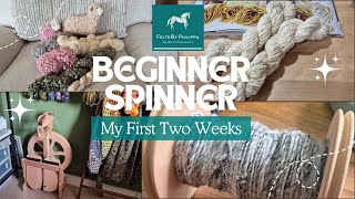 🛞🧶Can I get to grips with my new Ashford spinning wheel?🛞🧶
