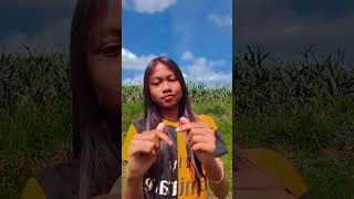 Download lagu CEMPAGA PEDAWA TIGEWARSA SIDETAPE #dance#lewatberandayt#harusberanda mp3 Download lagu CEMPAGA PEDAWA TIGEWARSA SIDETAPE #dance#lewatberandayt#harusberanda mp3