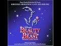A Change In Me - Beauty And The Beast 