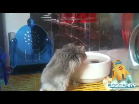 Adele - Rolling in the deep (Leg&Dary mashup remix)