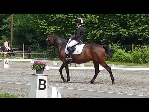 Seligenstadt 7,2 A**-Dressur 4.Platz (A7)