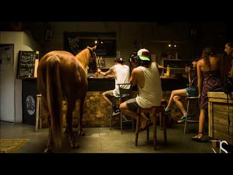 Docteur Knut - Crazy Horse ft Kata Klown (Leftöver Cräck remix)