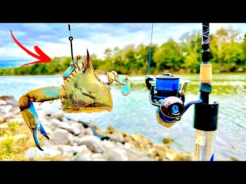 best redfish fly rod and reel redfish Archives
