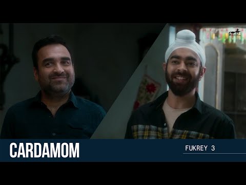 Video Clip 1 — Fukrey 3