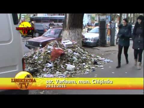 Libertatea.TV - Gunoistea de la rădăcini