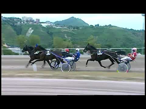 Napoli Trotto 05/06/2021 - 7ª corsa