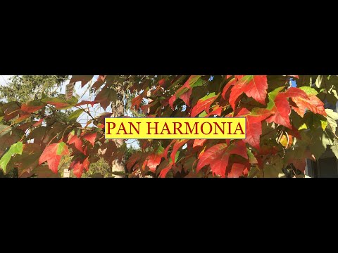 Karel Husa: Evocations de Slovaquie, II. La Nuit