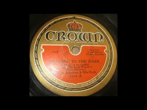 Adrian Schubert & his orchestra - Dancing in the Dark (1931)