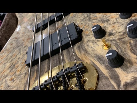 Lakland 55-94 US Custom Deluxe Buckeye Burl over Ash, Ebony Board, Gold Hardware image 6