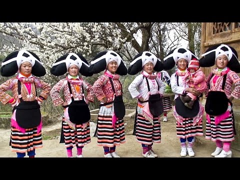 download lagu mp3 mp4 Miao Guizhou, download lagu Miao Guizhou gratis, unduh video klip Miao Guizhou