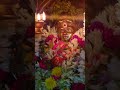 வாடாத வசந்த மல்லிகை பூ போலே எந்தன் இள 