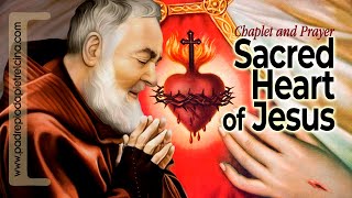 Chaplet of Sacred Heart of Jesus - Padre Pio&#39;s favorite Prayer ᴴᴰ